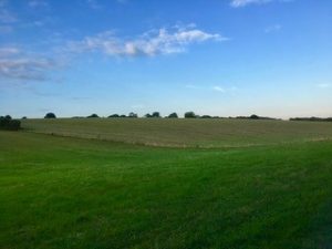 Rolling green hills and open space